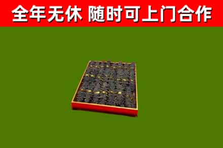 大理州回收海参